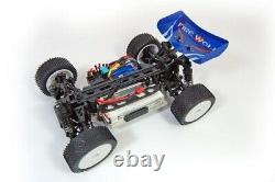 Fire Wolf Electric Brushless RC Buggy Car Remote Control